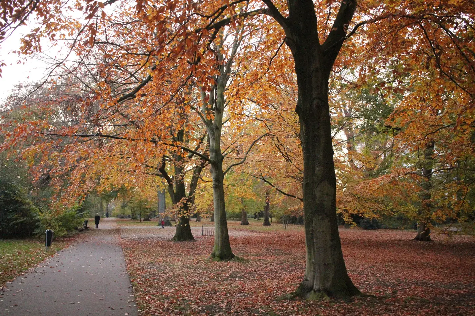 Seasonal Motoring Safety Tips